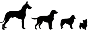 Silhouette of Great Dane, Laborador Retriever, Shetland Sheepdog and Yorkie in largest to smallest order for dog grooming packages.